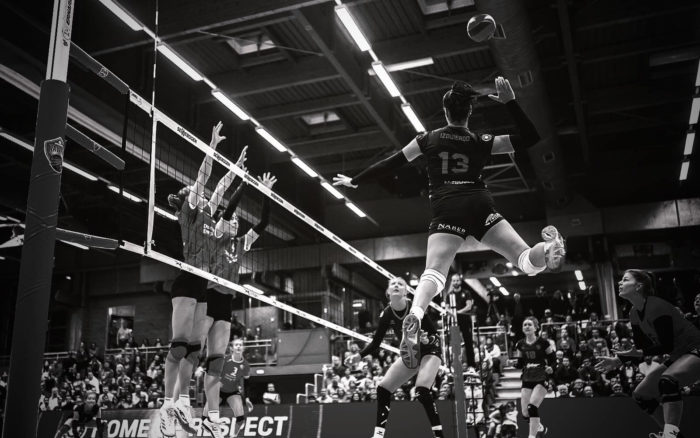 teamElgato Portfolio – NawaRo Straubing Titelbild