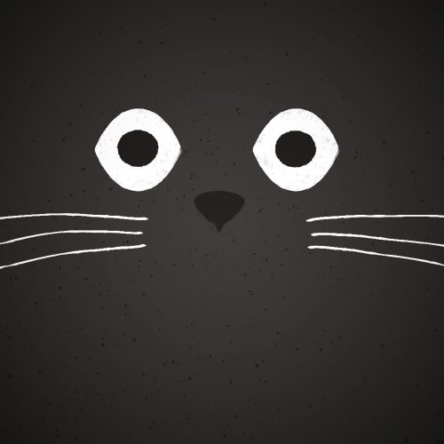 teamElgato Portfolio – Kitty Kards Titelbild