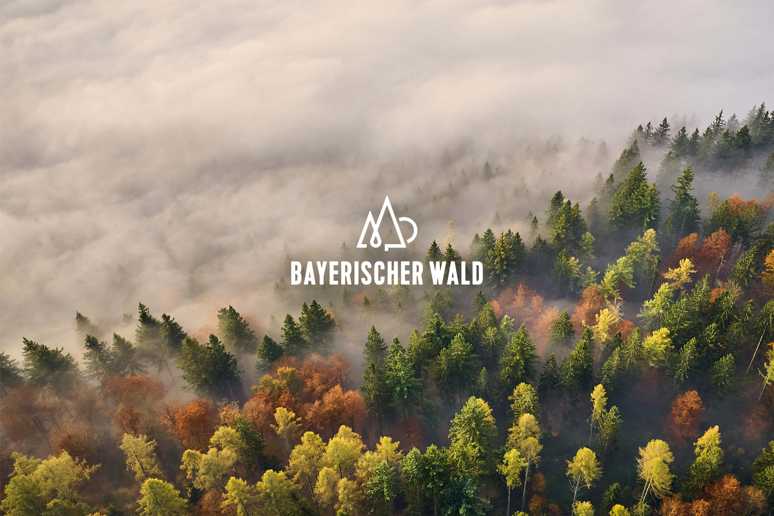 teamElgato_Bayerischer-Wald-Redesign_Startbild